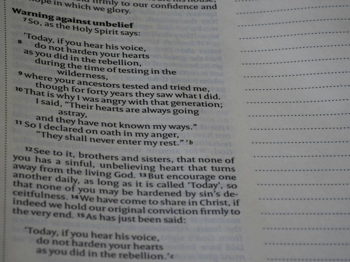 Compact portable makeup pouch open showing organized layout with labeled sections for brushes, creams, and lip products